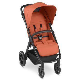 Коляска прогулянкова ABC Design Avus carrot 000050954 фото