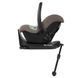 Платформа ABC Design Root (Black) 12004691000 фото 7