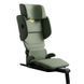 Автокрісло-бустер Axkid Up Nordic Bloom Green 27050142 фото
