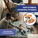 Іграшка-проектор Chicco "Лисеня" 10064.00 фото 7